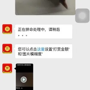 价值1000元的微信视频照片模糊打赏网站源码 适合做诱导消费