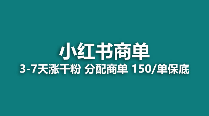 2023最强蓝海项目，小红书商单项目，没有之一
