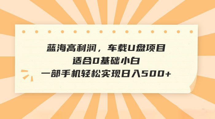 蓝海高利润，车载 U 盘项目，适合 0 基础小白