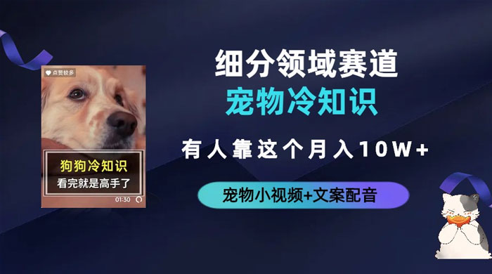 不起眼的抖音细分赛道 &middot; 宠物冷知识：一段宠物视频配文案，有人靠这个月入 10w