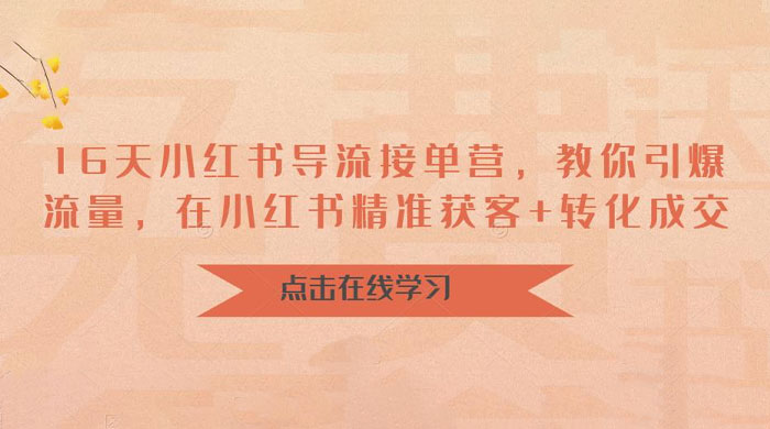 16 天小红书导流接单营：教你引爆流量，在小红书精准获客+转化成交