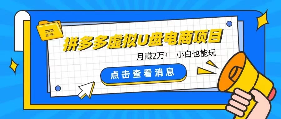 拼多多虚拟U盘电商红利项目：月赚2万+，新手小白也能玩