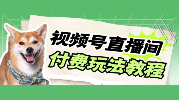 视频号美女付费无人直播，轻松日入500+（详细玩法教程）